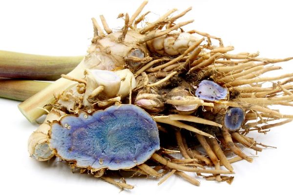 black turmeric