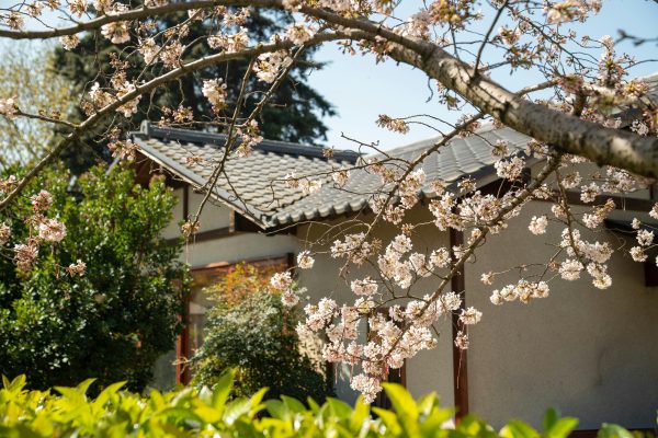 Konsep Hotel OMO Hoshino Resorts